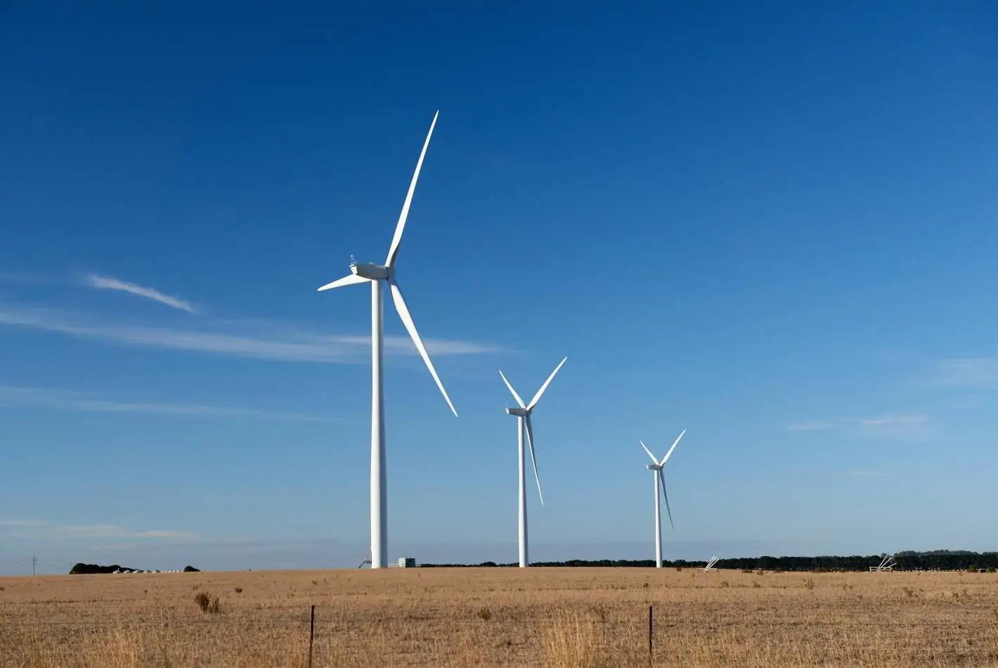 Tall Tree Wind Farm