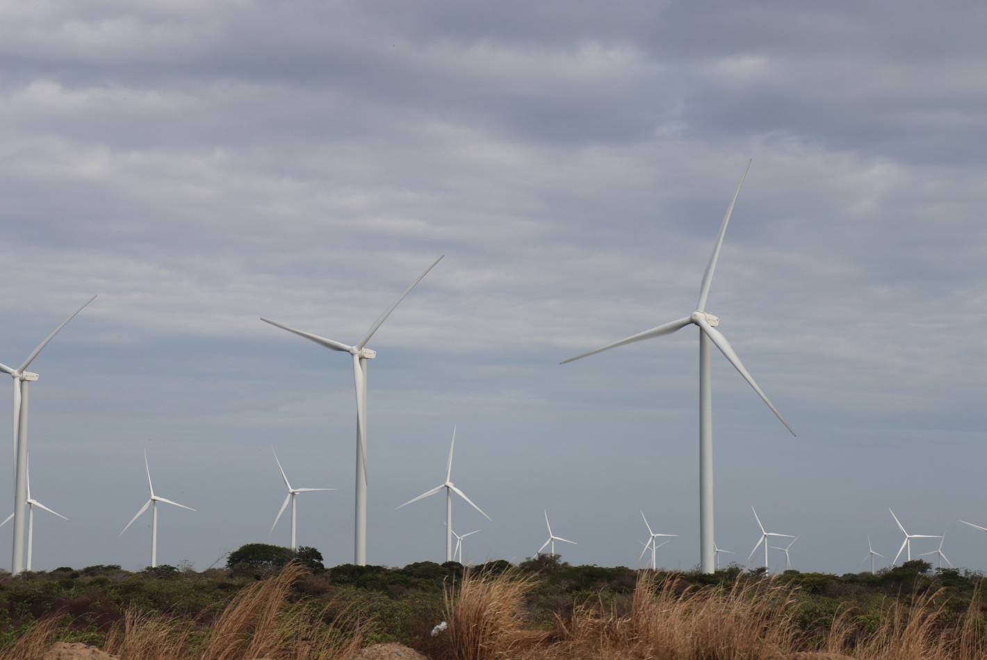 Saltbush Wind Farm