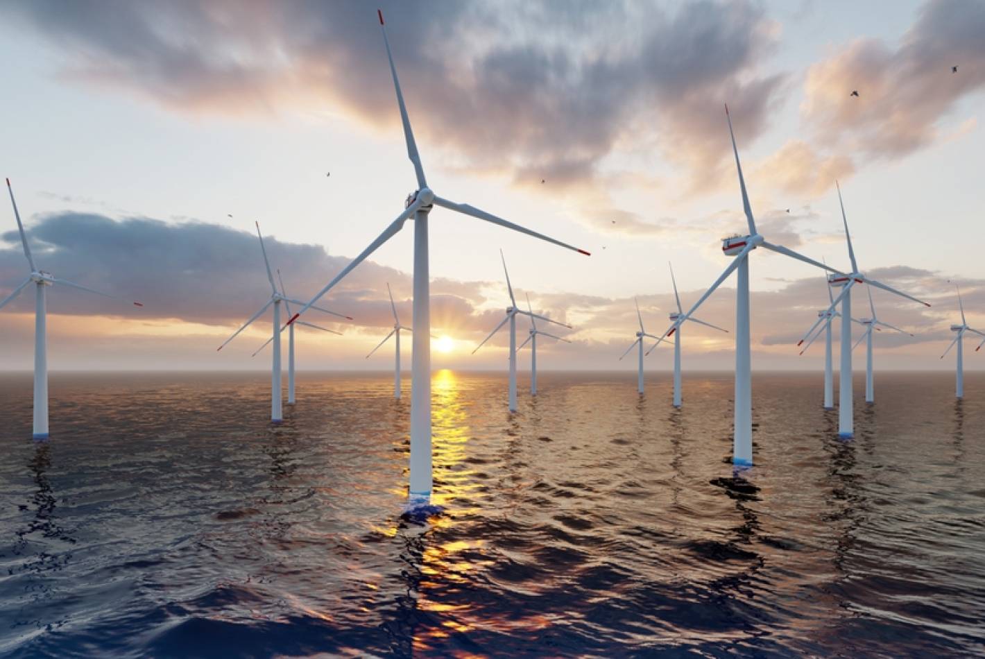 Navigator North Project