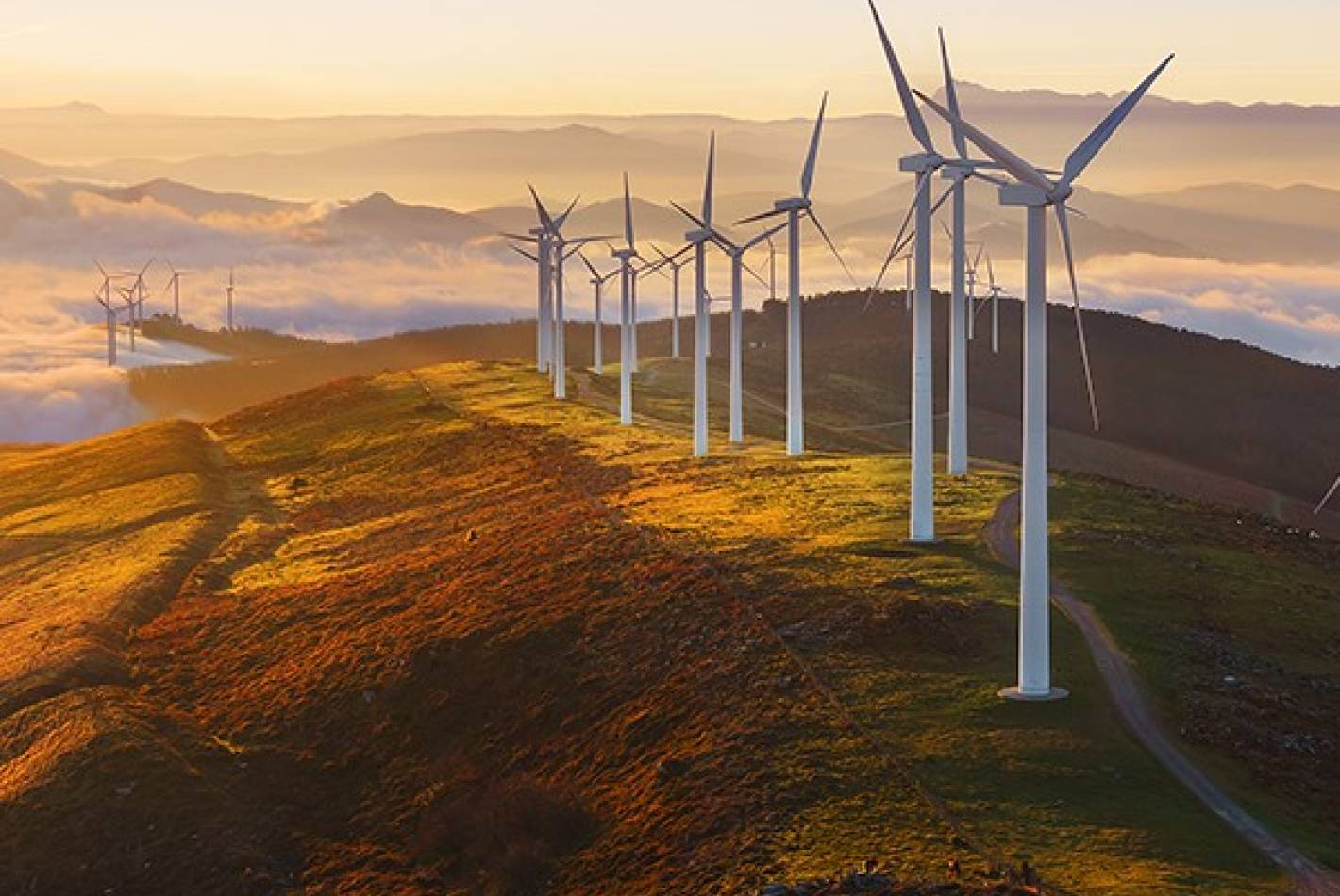 Lotus Creek Wind Farm