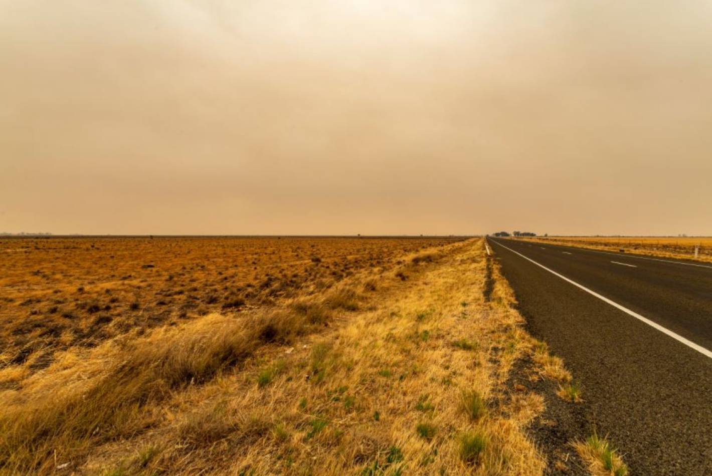 Newell Highway Upgrade