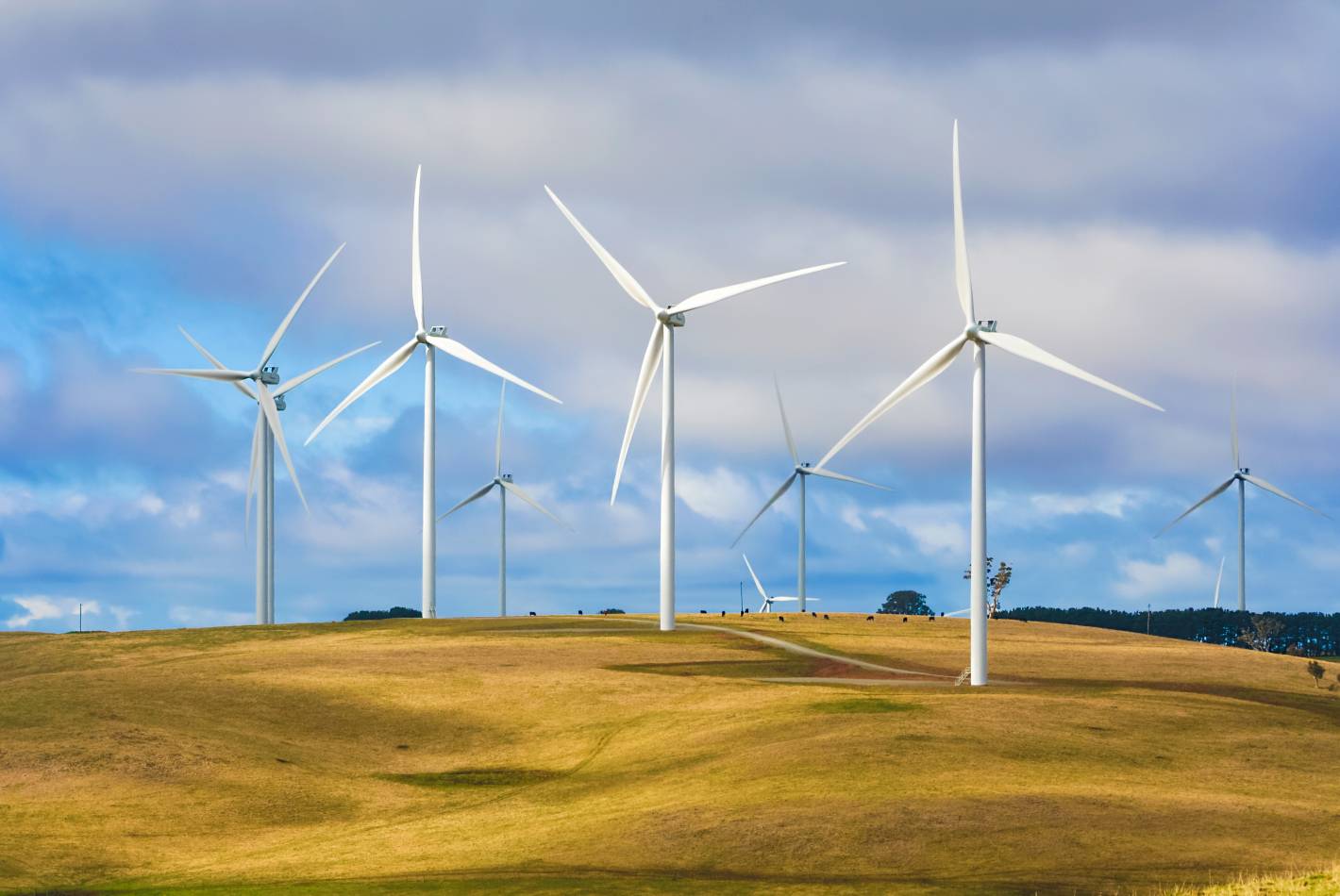 Mt Fyans Wind Farm