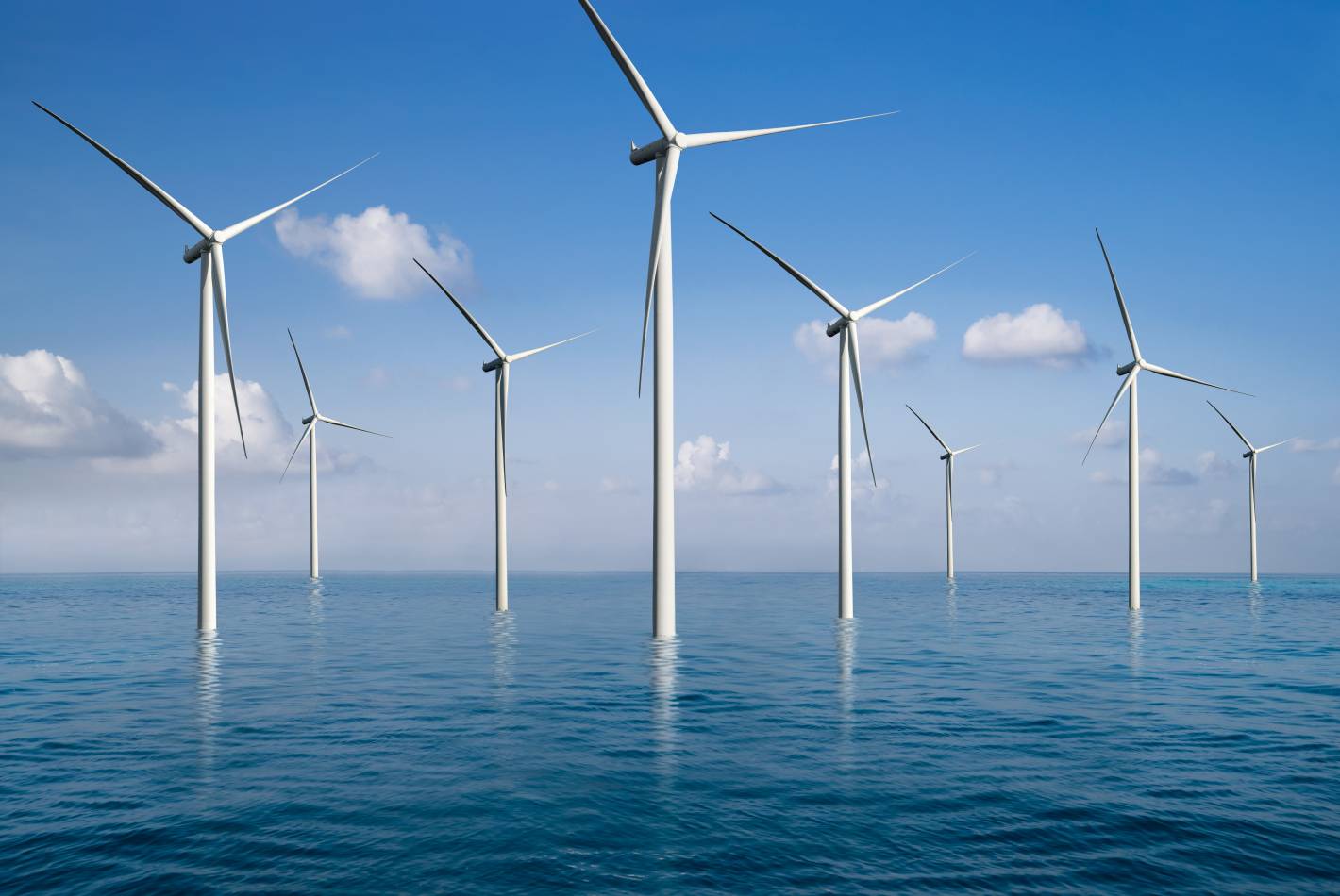 Seadragon Offshore Wind Farm