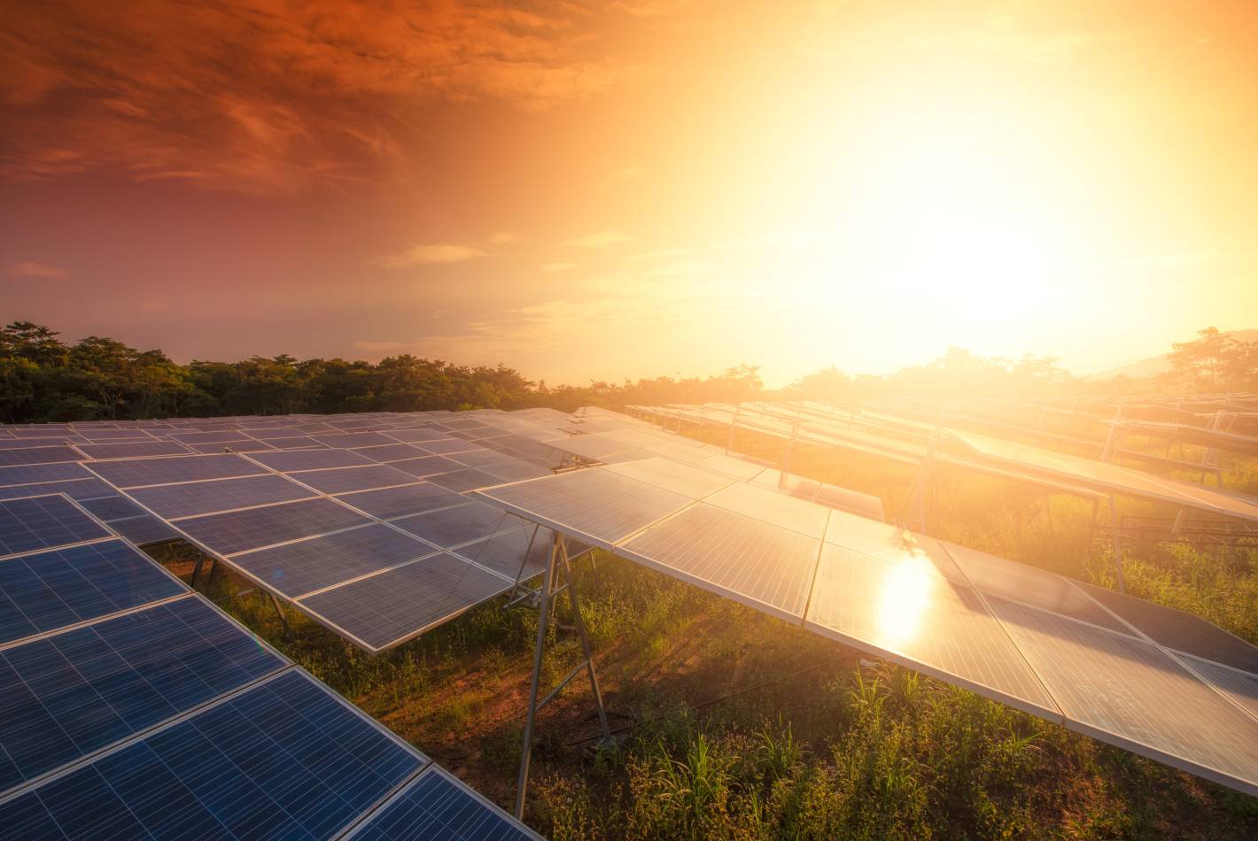 Texas Solar Farm