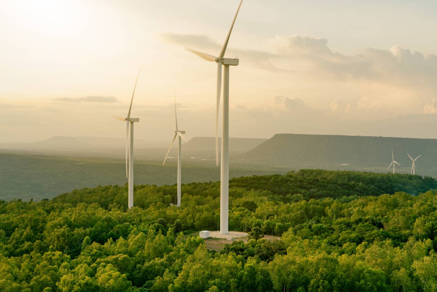 Bashan Wind Farm