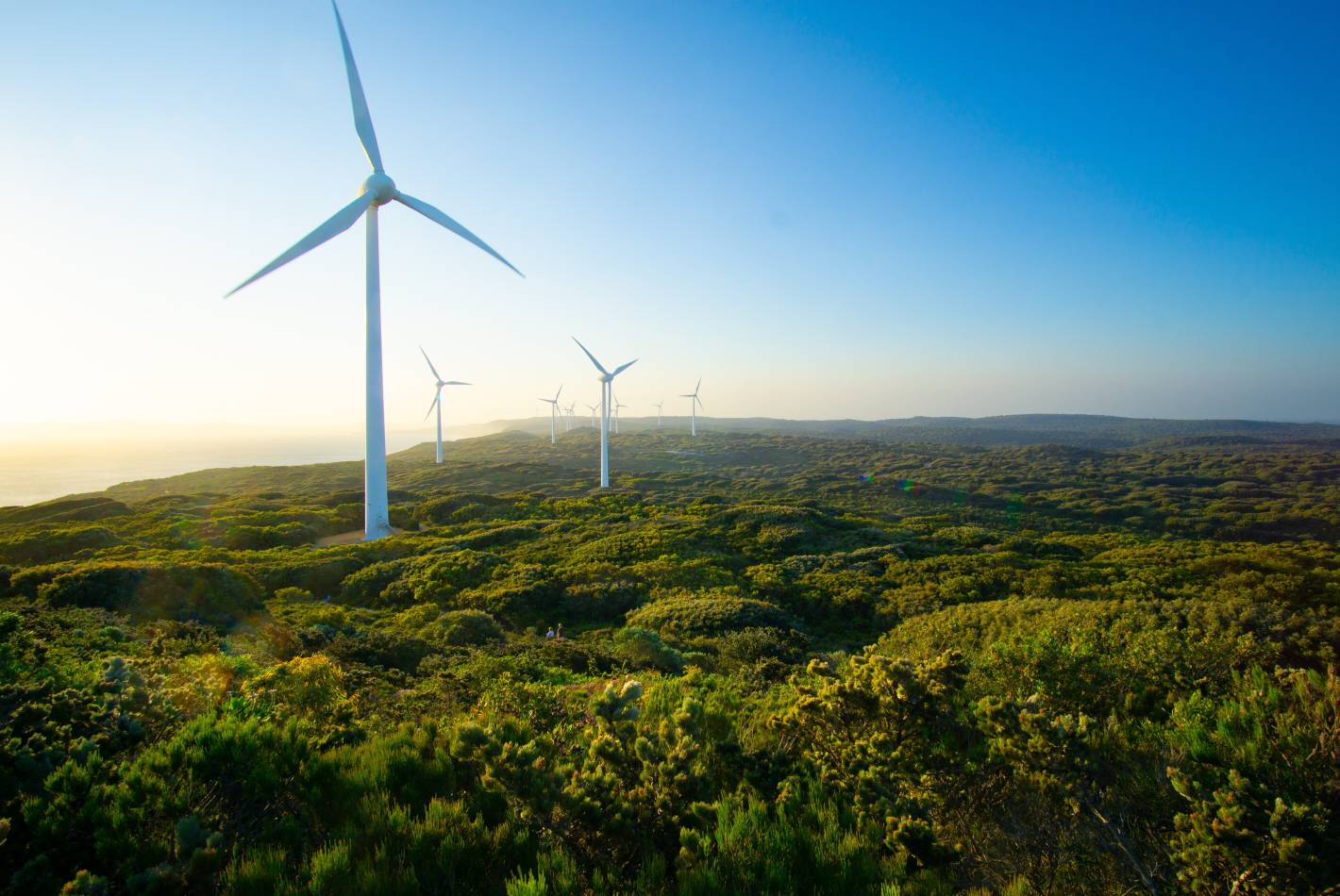 Waddi Wind Farm