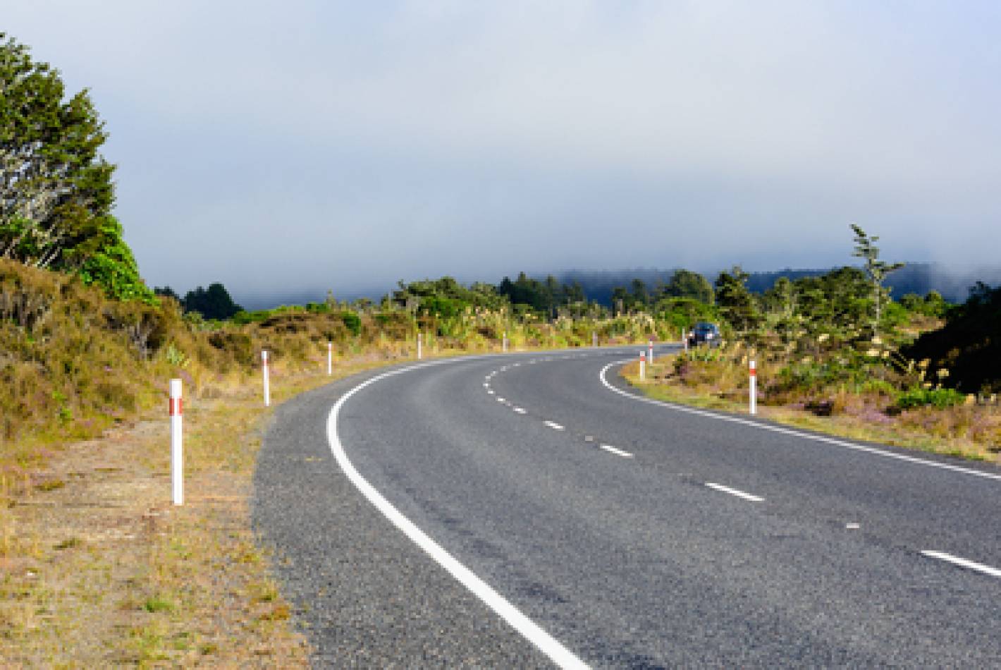 Takitimu North Link - Stage Two
