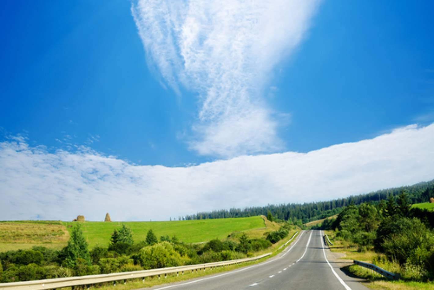 Princes Highway Upgrade – NSW Sections – Albion Park Rail bypass