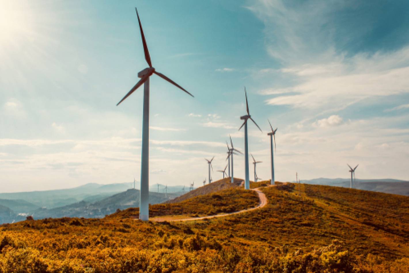 Clarke Creek Renewable Energy Precinct
