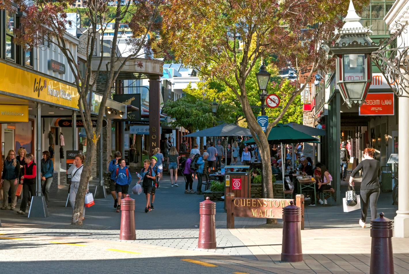 Wakatipu Transport Upgrades