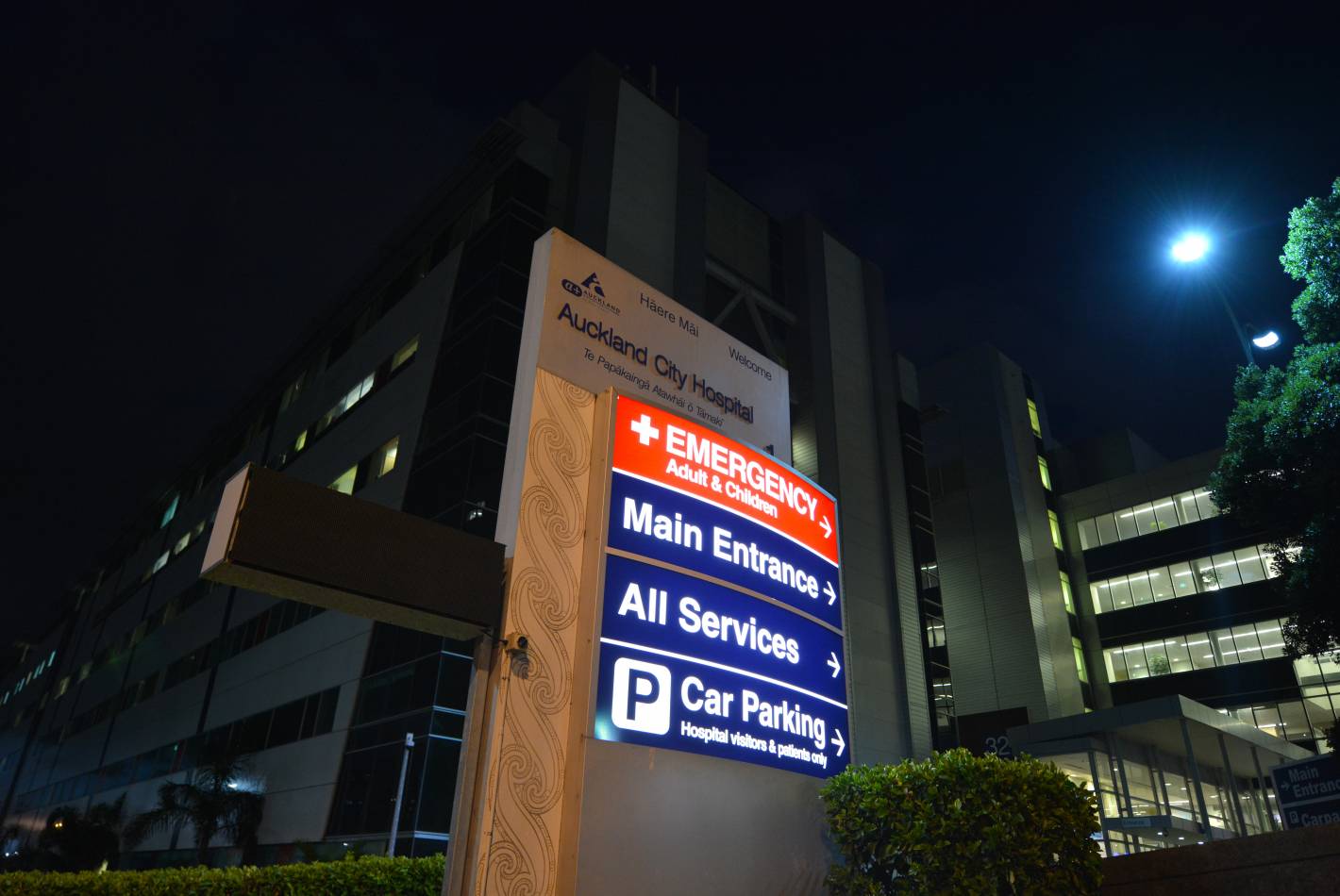 Auckland Hospitals Redevelopment