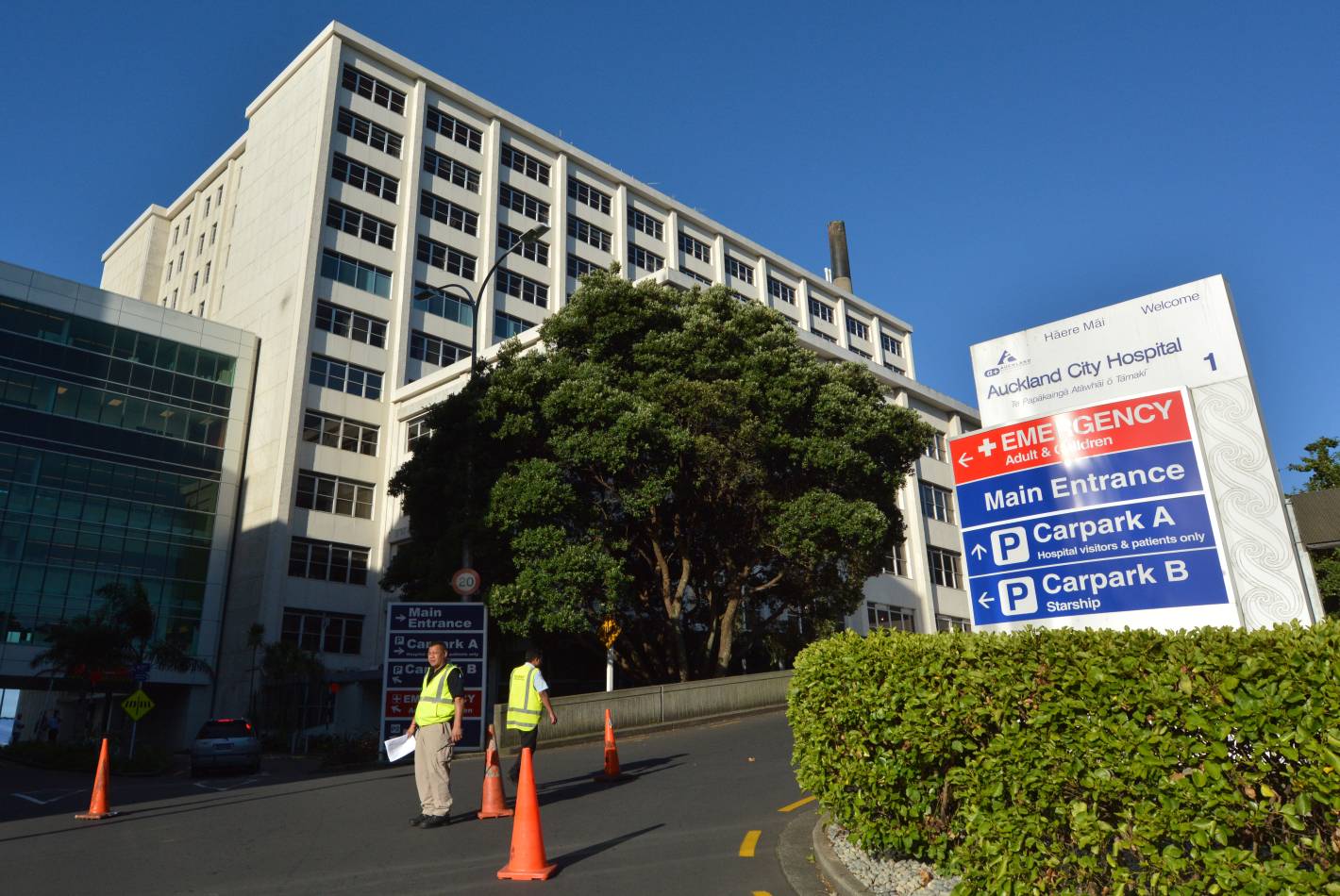 Auckland City Hospital Central Plant and Tunnel