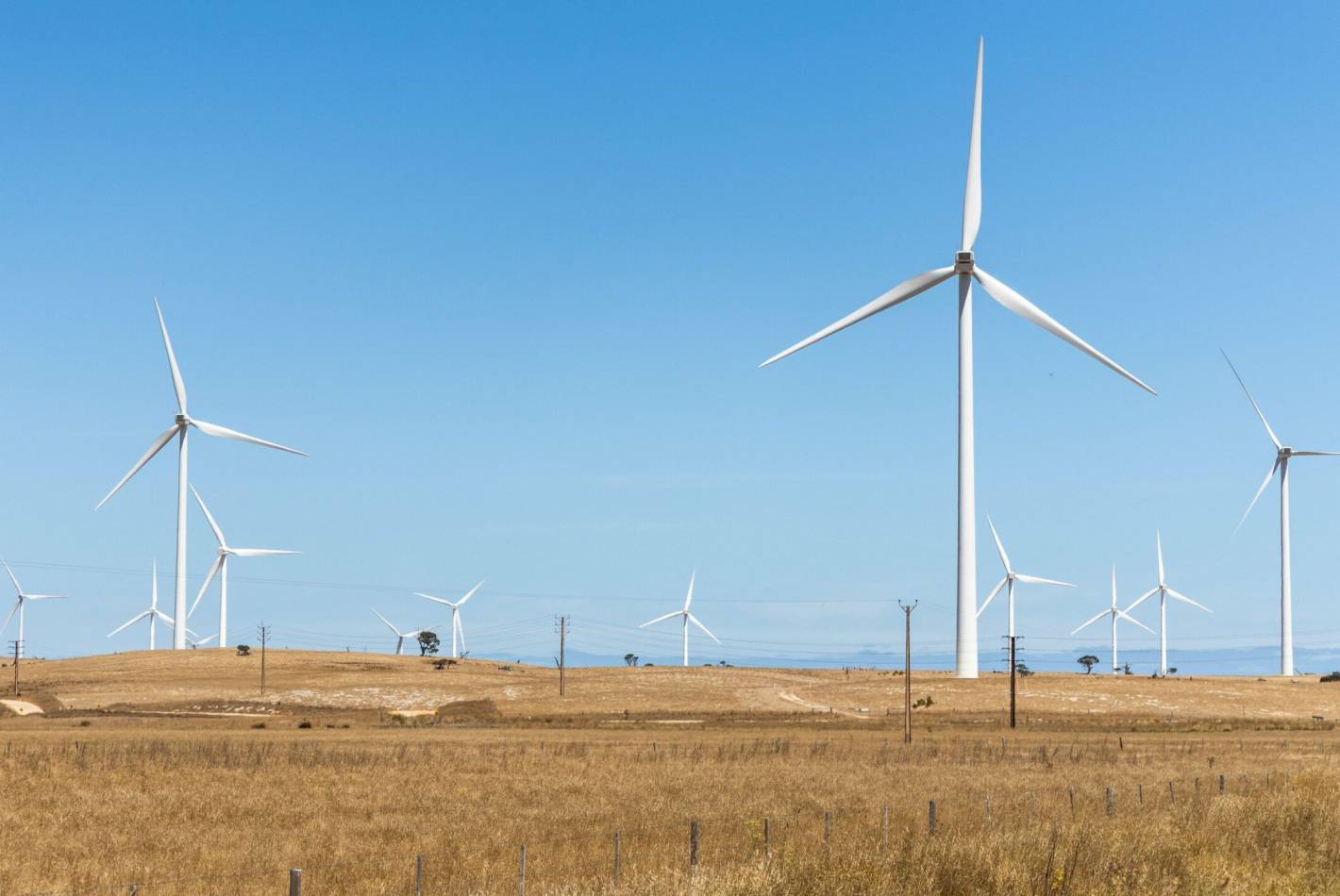 St Patricks Plains Wind Farm